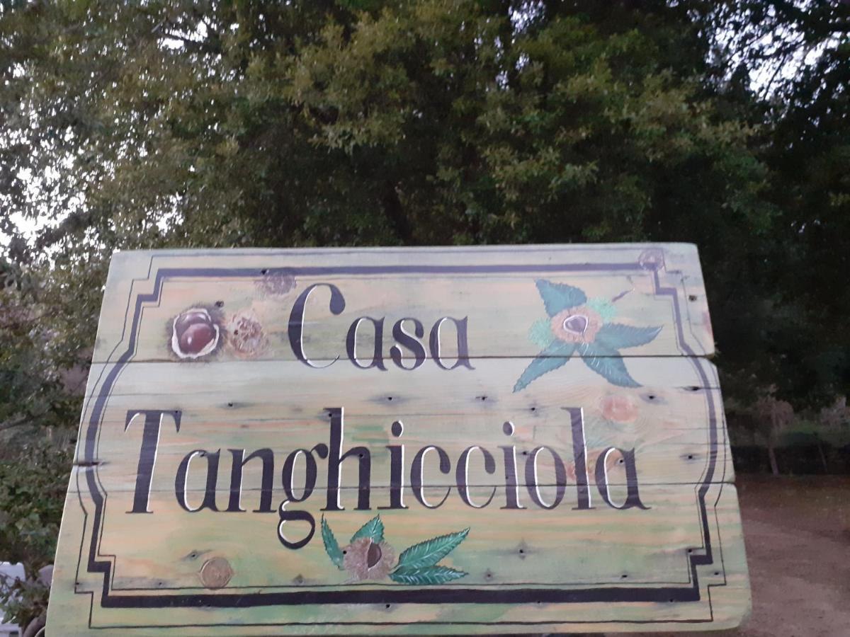 Casa Tanghicciola Apartment Levie Екстериор снимка